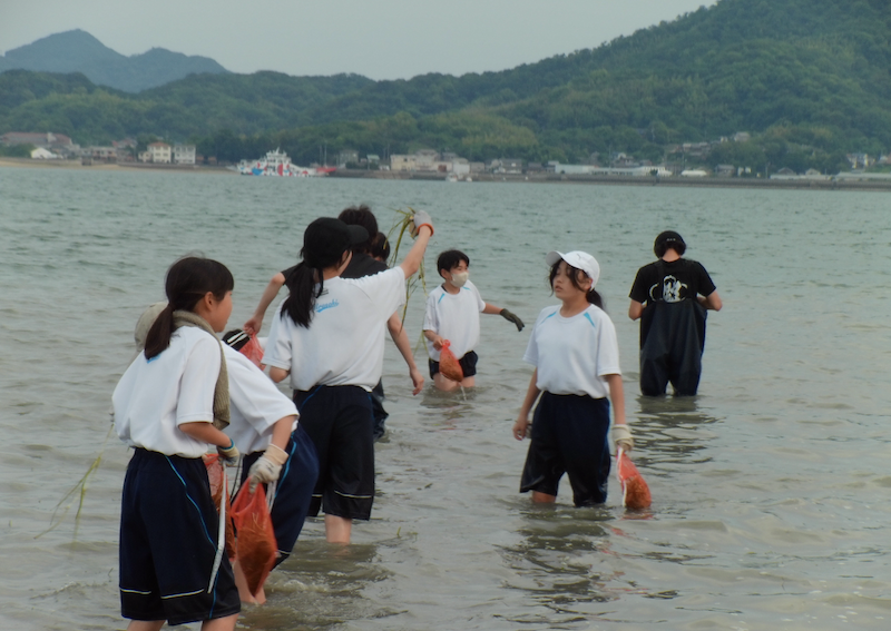 尾道市立浦崎中学校】アマモの花枝採取を行いました！ | 公益財団法人