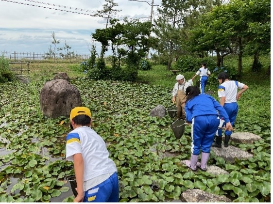 天池以外の池の生き物環境を調べている様子