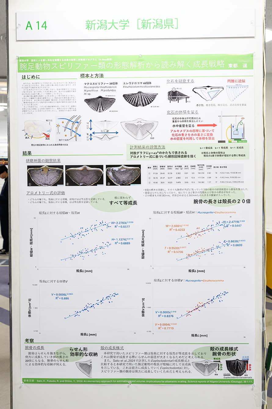 新潟大学（次世代）（新潟県）
