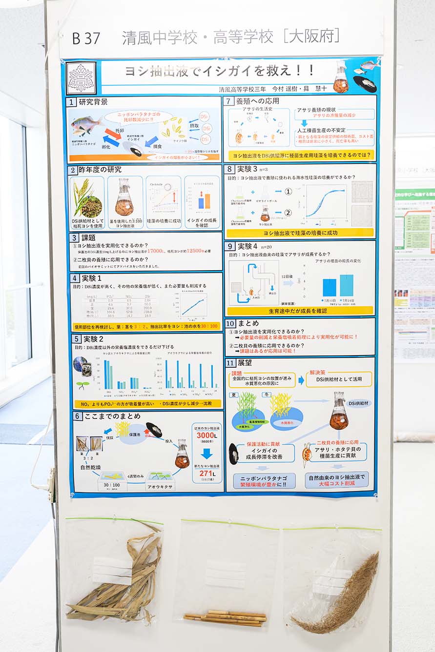 清風中学校・高等学校（大阪府）