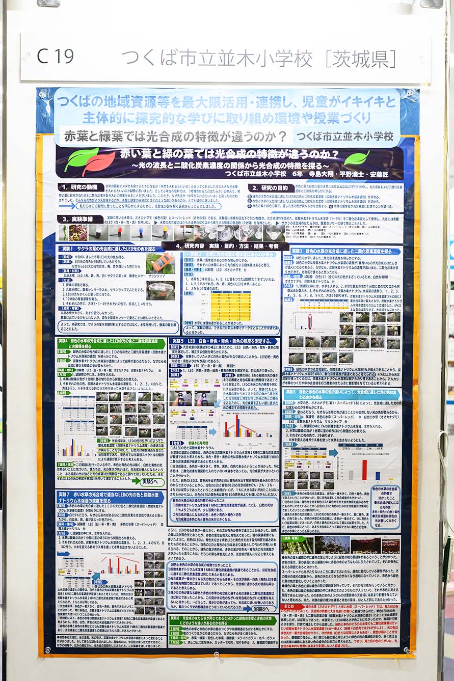 つくば市立並木小学校（茨城県）