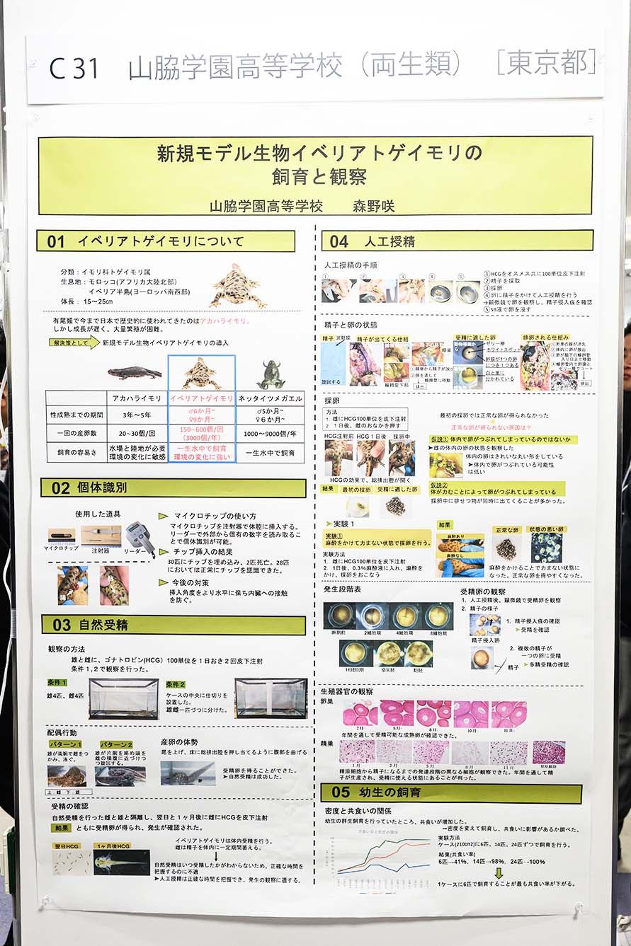 山脇学園高等学校（両生類）（東京都）