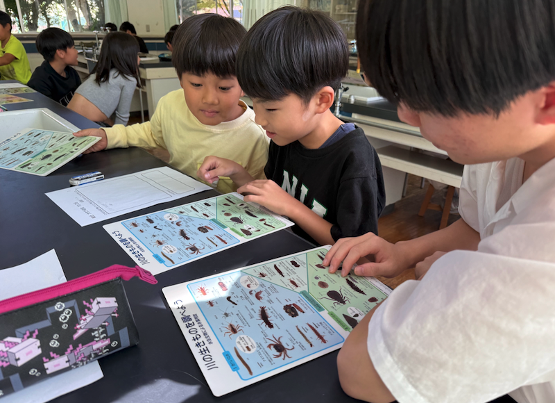 水生生物による水質判定法について学習しているところ