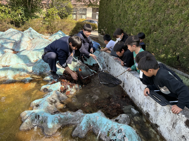 標識放流したカニを探しているところ