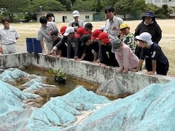 いきものさがしをしているところ