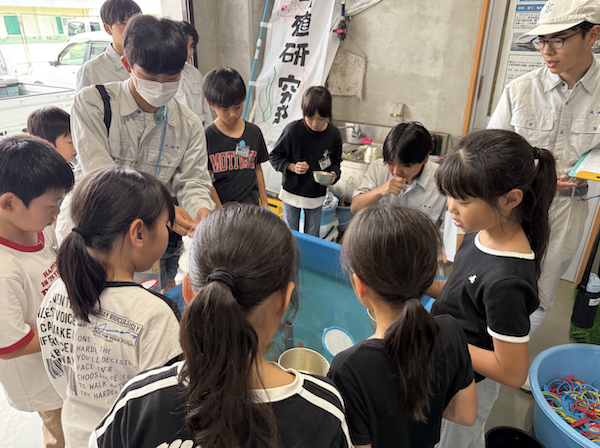 金魚すくいのようす