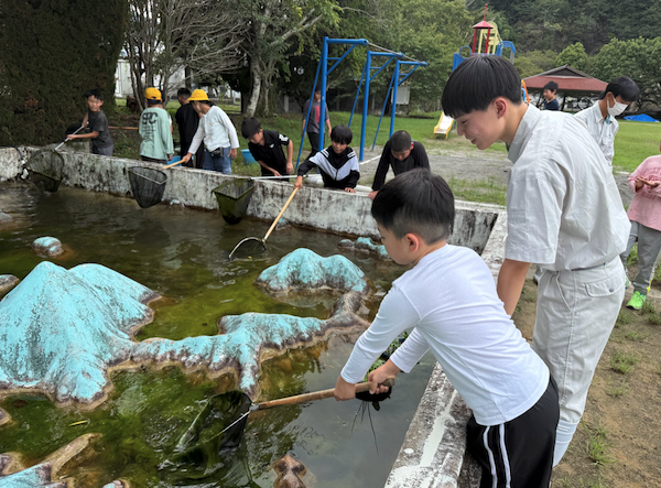 池の中の糸状藻類を除去しているところ