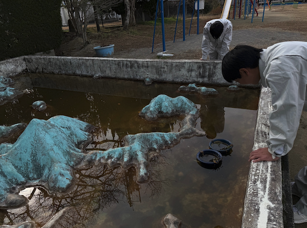 生き物を探しているところ
