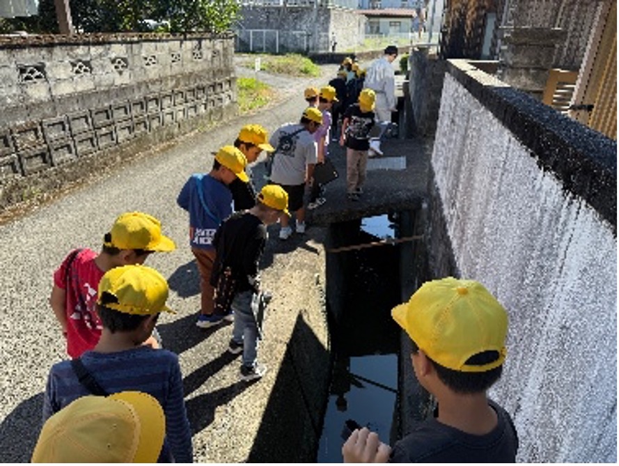 メダカさがしをしているところ