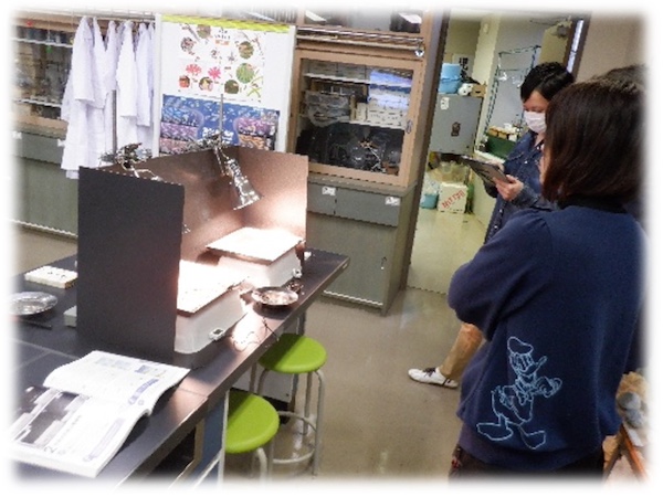 天気の学習で海陸風の実験の様子